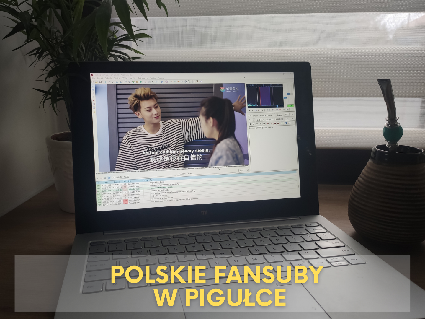 Świat polskich fansubów dramowych w pigułce